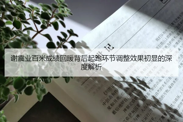 谢震业百米成绩回暖背后起跑环节调整效果初显的深度解析